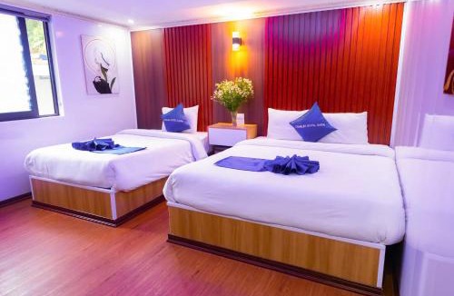 Sa Pa Hotel | Sa Pa Camellia Hotel