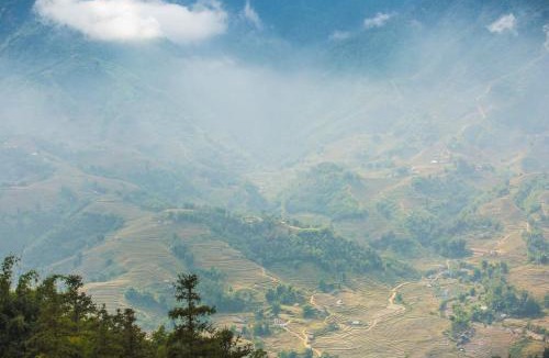 Sa Pa Resort | Sapa Jade Hill Resort & Spa
