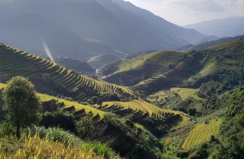 Mu Cang Chai Hotel | See bungalow mu cang chai