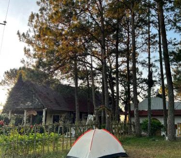 Da Lat Cabin | Smiling Pine Dalat - Thông Reo