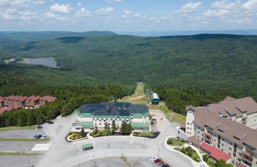 Edray Apartment | Soaring Eagle 204 slopeside living in this stunning 6BR