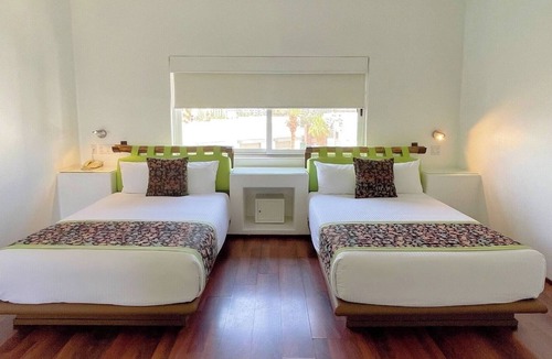 Ildefonso Green Hotel | Stylish & Spacious Suite Near Cabo San Lucas Local Hotspots