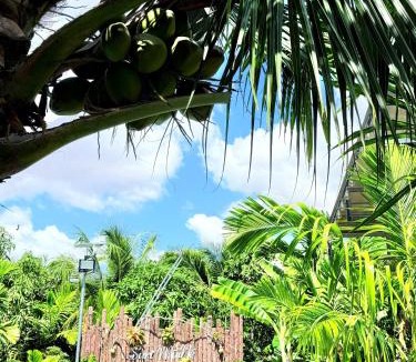 East Ham Tien Beach Other | Suri Homestay Mũi Né
