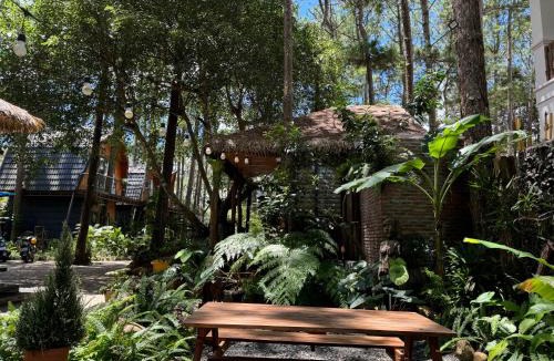 Kon Plong Hotel | T'MĂNG ĐEENG HOMESTAY