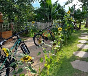 Cu Kuin House | Tam An Lakeview Homestay