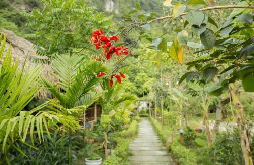 Hoa Lu Resort | Tam Coc Rice Fields Resort