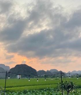 Hoa Lu Cabin | Tam Coc Sky Bungalow