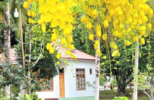 Duong Dong Resort | Tang Thanh Phat Resort
