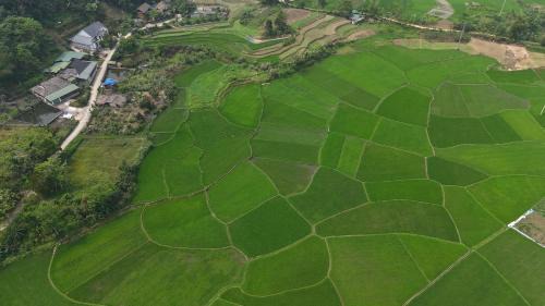Ha Giang House | Tay Na Bon Homestay & Travel