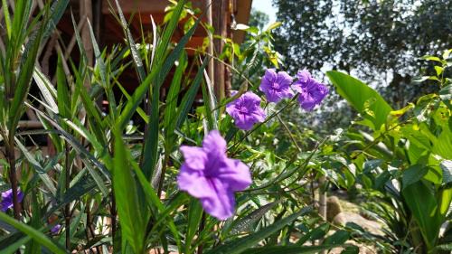 Ha Giang House | Tay Na Bon Homestay & Travel