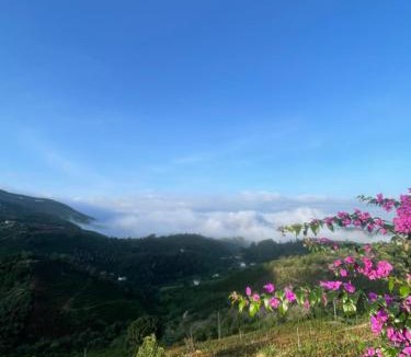 Lam Ha Apartment | Thảo nguyên Farm &healing