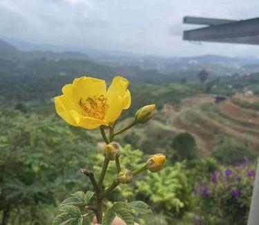 Lam Ha Apartment | Thảo nguyên Farm &healing