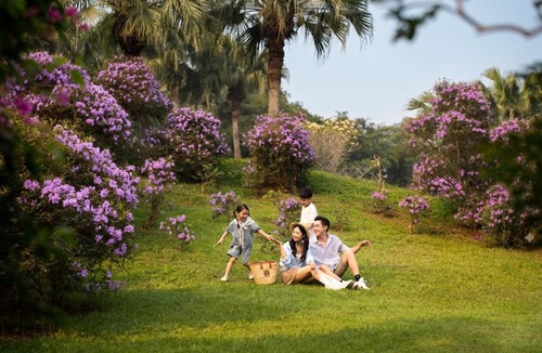 Son Tay Resort | Thảo Viên Resort