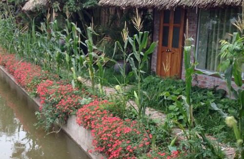 Hung Ha House | Thai Binh Garden