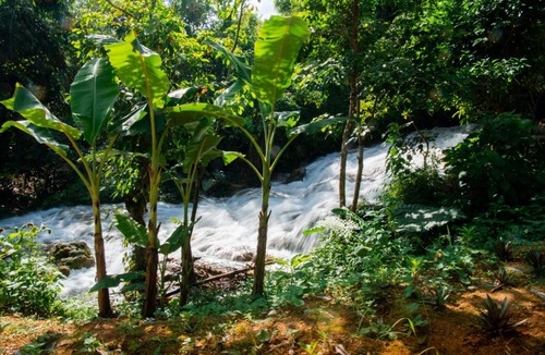 Pu Long Nature Reserve Cabin | Thai House Heritage Pu Luong