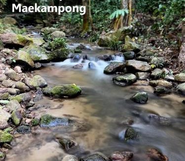 Mae On Other | The camp Maekampong