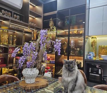 Lao Cai House | The Dang's Home in Lao Cai