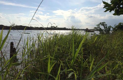 Cai Be Cabin | The Durian Lodge at Mekong