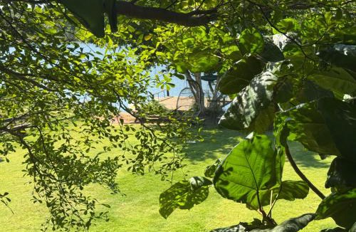 Cu Kuin House | The Forester Chalet