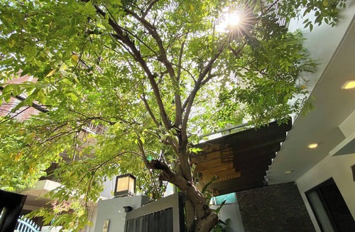 An Hai Đong Villa | The Local Villa Danang - Pool, 6 Bed rooms for 12 people