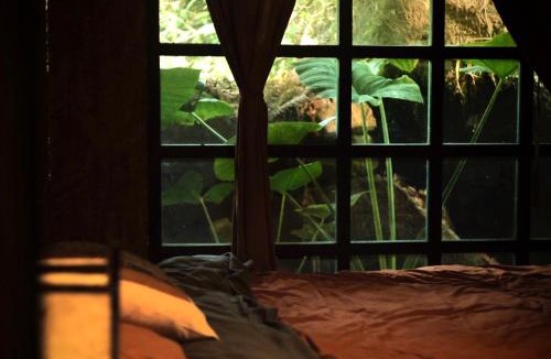 Sa Pa Apartment | The Nest - Homestay bên suối nhỏ