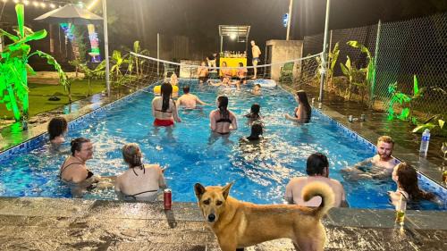 Dien Duong House | The Seaside Bungalow Hostel and Bar
