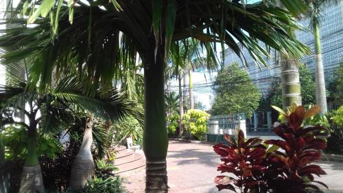 Tuy Hoa House | TIC Guest House