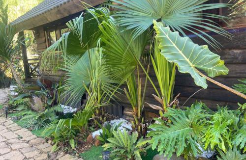Lac Duong Villa | tinys house