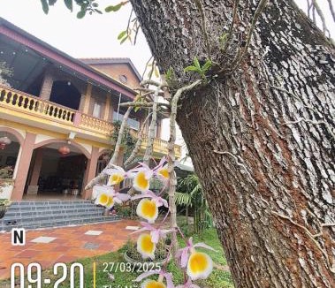 Thai Hoa House | Trọng tín motel