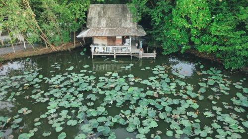 Bang Bo House | Tranquility living in the garden ,20km from airport