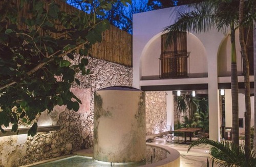 Zona Paseo Montejo Hotel | TreeHouse Boutique Hotel, an adults only boutique hotel