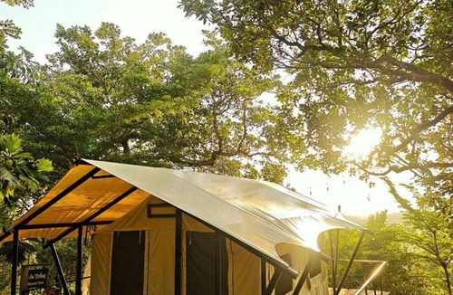 Dinh Quan Other | Tropical eglamping