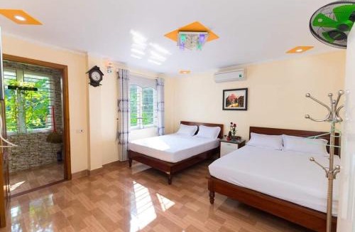 Cat Ba House | TROPICANA homestay