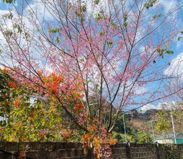 Moc Chau House | Vườn An nhiên Mộc Châu