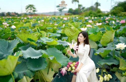 Thanh Thuy Apartment | Vườn vua thanh thuỷ