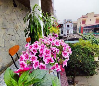 Hoa Lu Hotel | Villa Full House