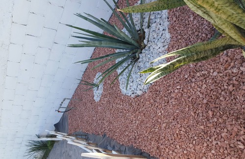 Hermosillo Cottage | Vrbo Property