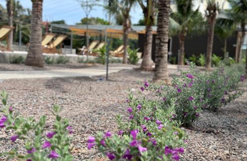 East Ham Tien Beach Hotel | Wanderlust garden inn