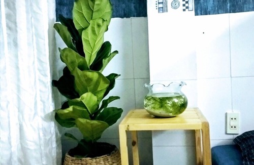 Ninh Kieu Hostel | WeeWay homestay - 5min walk to Ninh Kieu quay