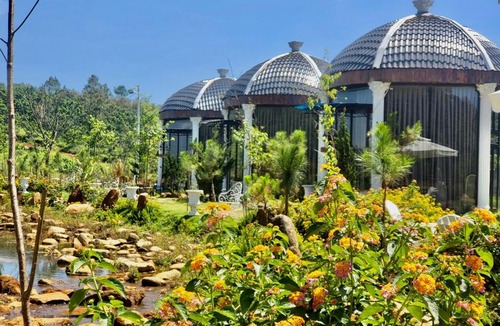 Bao Loc Bed & Breakfast | WINDHILL Bảo Lộc Homestay