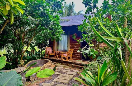 Ninh Binh House | Wood Haven Homestay