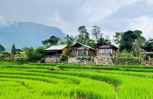 Sa Pa Ski Chalet | Wooden House Happiness Authentic Dao Village Escape
