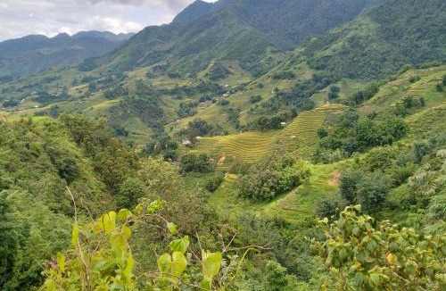 Sa Pa Ski Chalet | Zoo si homestay