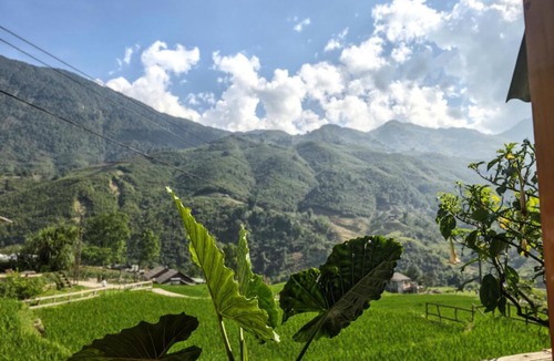 Hau Thao Cabin | ZOZO Sapa Homestay & Trekking