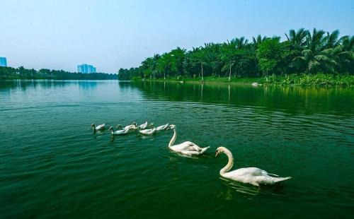 Đã đóng cửa in Van Giang
