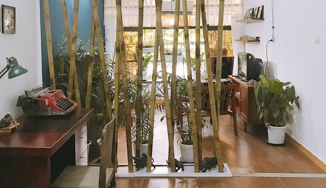 AMAZING traditional Condo–Heart of Hanoi Capital