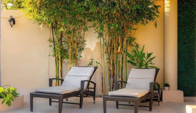 Apartment 1 BR, Pool, Gym & Terrace in Mérida