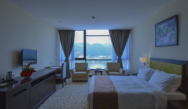 Aristo International Hotel