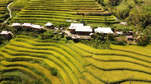 Bồng Bềnh Retreat