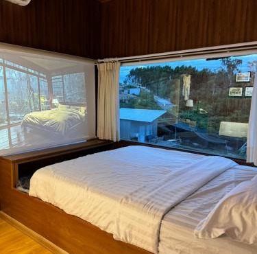 B tree Retreat homestay